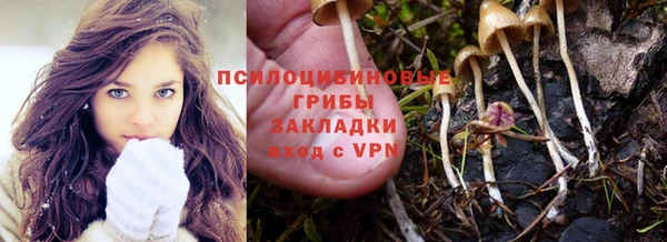 соль курить ск Алексеевка