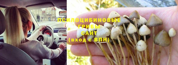 соль курить ск Алексеевка