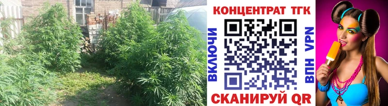 ТГК гашишное масло  Белоярский 