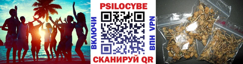 Псилоцибиновые грибы Psilocybine cubensis  Белоярский 